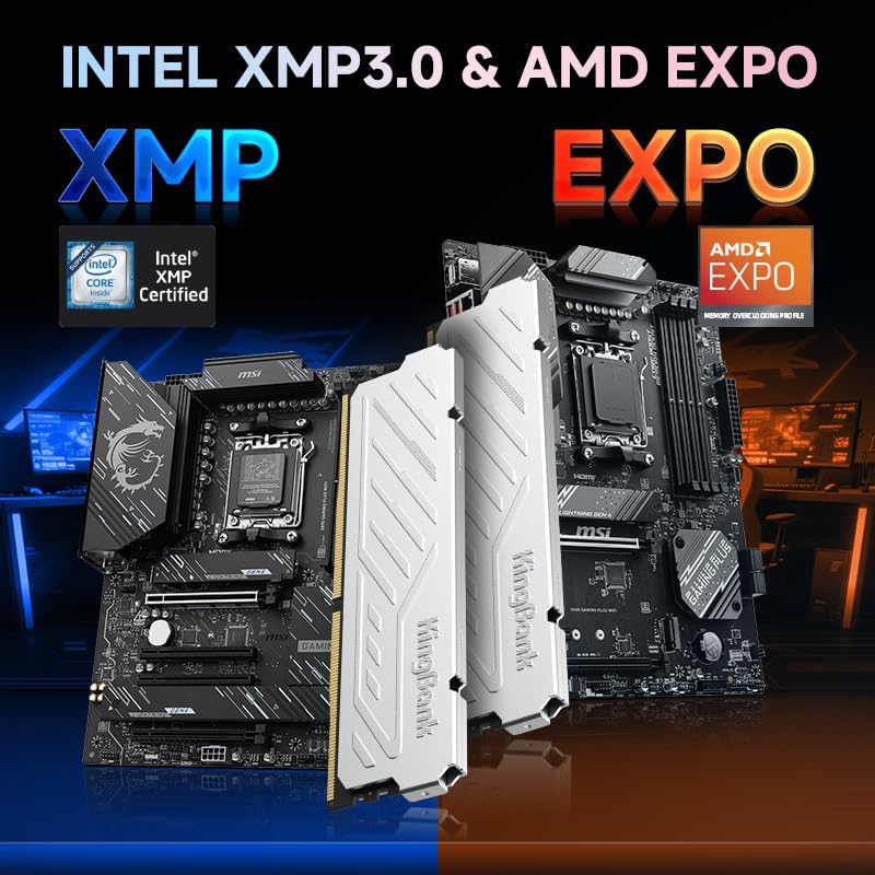 킹뱅크 KJXS DDR5 RAM 8GB/16GB 키트  - Ddr5 16Gb 6000Mhz 리뷰 및 가격