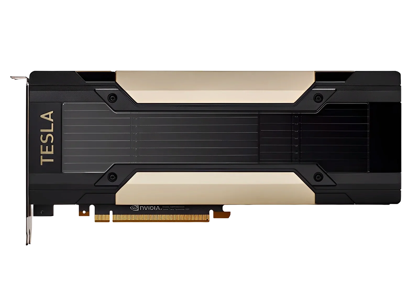 V100/P100/T4/P4/P40/M10/M40 GP - Ddr5 8Gb 리뷰 및 가격