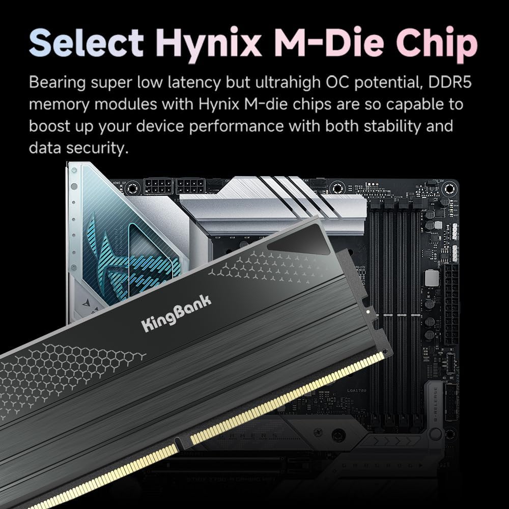 킹뱅크 DDR5 KFXB 메모리 48GB(24GBx2) - Ddr5 64Gb 리뷰 및 가격